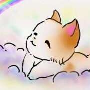 ヒメ日記 2025/12/02 22:33 投稿 あかり あとりえ(ATELIER)