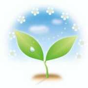 ヒメ日記 2025/12/06 06:00 投稿 あかり あとりえ(ATELIER)