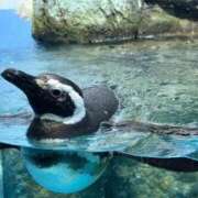 あかり ママ友に感謝✨ あとりえ(ATELIER)