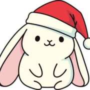 ヒメ日記 2025/12/20 09:30 投稿 あかり あとりえ(ATELIER)