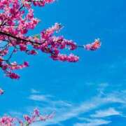 ヒメ日記 2026/02/14 06:00 投稿 あかり あとりえ(ATELIER)