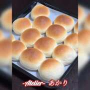 ヒメ日記 2026/03/05 06:00 投稿 あかり あとりえ(ATELIER)