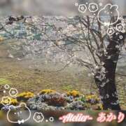 ヒメ日記 2026/03/18 06:00 投稿 あかり あとりえ(ATELIER)