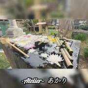 ヒメ日記 2026/03/23 06:00 投稿 あかり あとりえ(ATELIER)