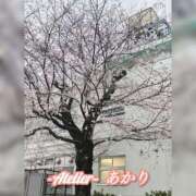 ヒメ日記 2026/03/28 06:00 投稿 あかり あとりえ(ATELIER)