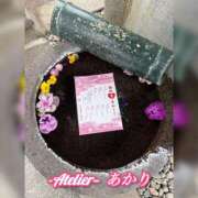 ヒメ日記 2026/04/15 06:00 投稿 あかり あとりえ(ATELIER)
