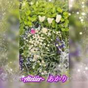 ヒメ日記 2026/04/23 06:00 投稿 あかり あとりえ(ATELIER)