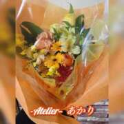 ヒメ日記 2026/04/30 06:00 投稿 あかり あとりえ(ATELIER)