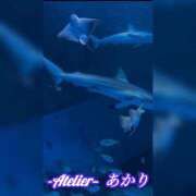 ヒメ日記 2026/05/03 06:01 投稿 あかり あとりえ(ATELIER)