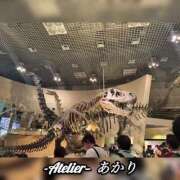 ヒメ日記 2026/05/05 06:00 投稿 あかり あとりえ(ATELIER)