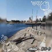 ヒメ日記 2026/05/16 06:00 投稿 あかり あとりえ(ATELIER)