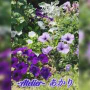ヒメ日記 2026/06/04 06:00 投稿 あかり あとりえ(ATELIER)