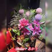 ヒメ日記 2026/06/07 06:00 投稿 あかり あとりえ(ATELIER)