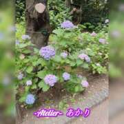 ヒメ日記 2026/06/09 06:00 投稿 あかり あとりえ(ATELIER)