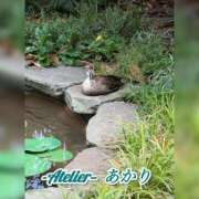 ヒメ日記 2026/08/05 06:00 投稿 あかり あとりえ(ATELIER)