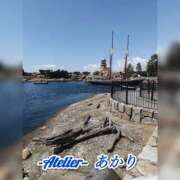 ヒメ日記 2026/08/08 06:00 投稿 あかり あとりえ(ATELIER)