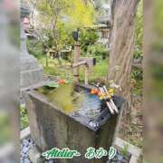 ヒメ日記 2026/08/14 06:00 投稿 あかり あとりえ(ATELIER)