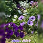 ヒメ日記 2026/09/09 06:00 投稿 あかり あとりえ(ATELIER)