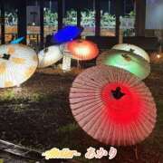 ヒメ日記 2026/09/12 06:00 投稿 あかり あとりえ(ATELIER)