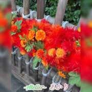 ヒメ日記 2026/10/07 06:00 投稿 あかり あとりえ(ATELIER)