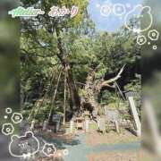 ヒメ日記 2026/10/11 06:00 投稿 あかり あとりえ(ATELIER)