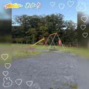 ヒメ日記 2026/10/14 06:00 投稿 あかり あとりえ(ATELIER)