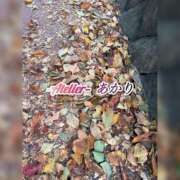 ヒメ日記 2026/10/15 06:00 投稿 あかり あとりえ(ATELIER)