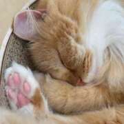 ヒメ日記 2024/12/20 10:06 投稿 おうか あとりえ(ATELIER)