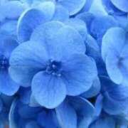 ヒメ日記 2025/03/20 07:51 投稿 おうか あとりえ(ATELIER)