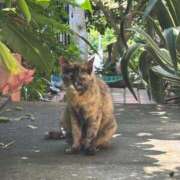 ヒメ日記 2025/06/11 08:19 投稿 おうか あとりえ(ATELIER)