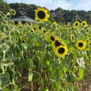 ヒメ日記 2025/08/08 09:34 投稿 おうか あとりえ(ATELIER)