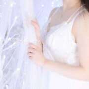 ヒメ日記 2024/12/28 10:08 投稿 さくら あとりえ(ATELIER)