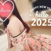 ヒメ日記 2024/12/29 16:49 投稿 さくら あとりえ(ATELIER)