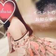 ヒメ日記 2025/03/07 07:31 投稿 さくら あとりえ(ATELIER)