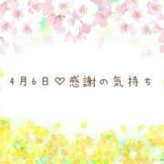 ヒメ日記 2025/04/07 12:31 投稿 さくら あとりえ(ATELIER)