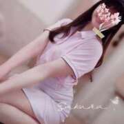 ヒメ日記 2025/04/10 06:30 投稿 さくら あとりえ(ATELIER)