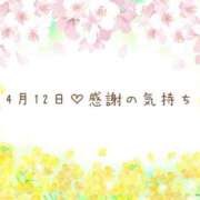 ヒメ日記 2025/04/12 18:34 投稿 さくら あとりえ(ATELIER)