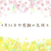 ヒメ日記 2025/04/26 20:15 投稿 さくら あとりえ(ATELIER)