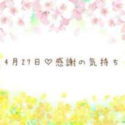 ヒメ日記 2025/04/27 19:32 投稿 さくら あとりえ(ATELIER)