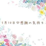 ヒメ日記 2025/05/10 20:22 投稿 さくら あとりえ(ATELIER)