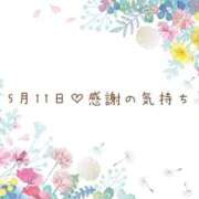ヒメ日記 2025/05/11 19:14 投稿 さくら あとりえ(ATELIER)