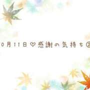 ヒメ日記 2025/10/12 16:29 投稿 さくら あとりえ(ATELIER)