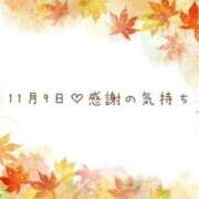 ヒメ日記 2025/11/10 07:30 投稿 さくら あとりえ(ATELIER)