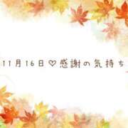 ヒメ日記 2025/11/17 07:30 投稿 さくら あとりえ(ATELIER)