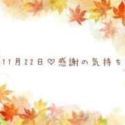 ヒメ日記 2025/11/23 12:14 投稿 さくら あとりえ(ATELIER)