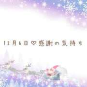 ヒメ日記 2025/12/07 07:32 投稿 さくら あとりえ(ATELIER)
