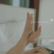 ヒメ日記 2025/12/08 20:56 投稿 さくら あとりえ(ATELIER)