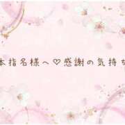 ヒメ日記 2026/03/09 19:31 投稿 さくら あとりえ(ATELIER)