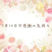 ヒメ日記 2026/03/16 19:18 投稿 さくら あとりえ(ATELIER)