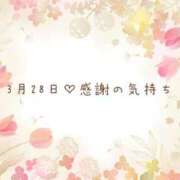 ヒメ日記 2026/03/28 20:20 投稿 さくら あとりえ(ATELIER)